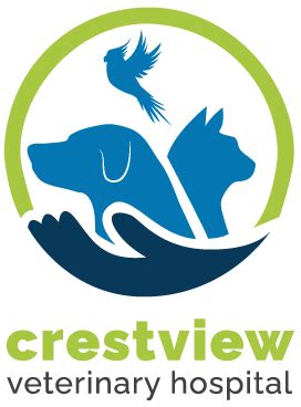 Crestview Animal Hospital: Your Trusted Marion, NC Veterinary Care Provider